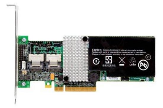 Picture of IBM 46M0829 M5015 ServeRAID SAS/SATA Controller