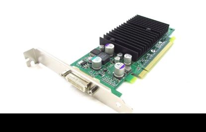 Picture of PNY 600-50169-8002-00 Quadro NVS 280 64MB 32-bit DDR PCI Workstation Video Card 